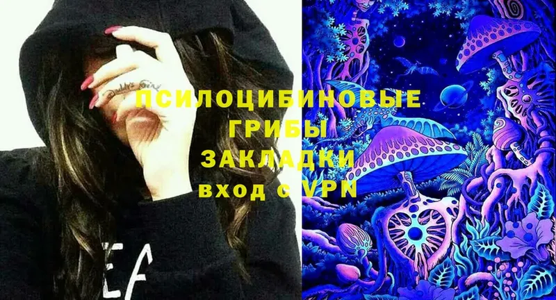 где можно купить наркотик  Валуйки  Галлюциногенные грибы Cubensis 